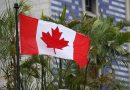 加拿大留学签今年核发量大减35%